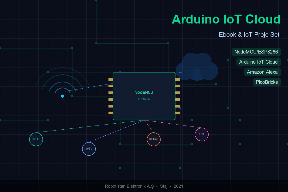 Robotistan Stajı — Arduino IoT Cloud Ebook & PicoBricks