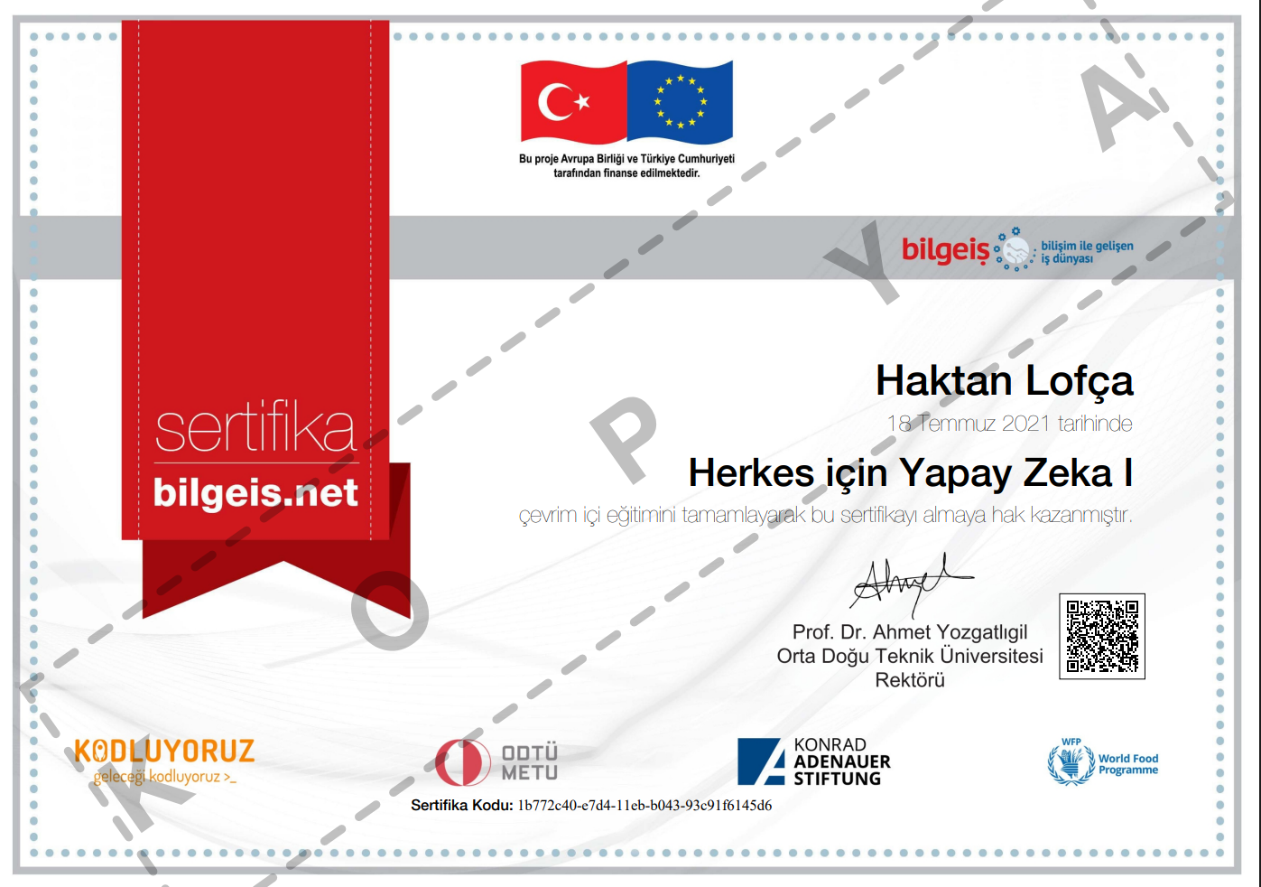 Herkes icin Yapay Zeka 1